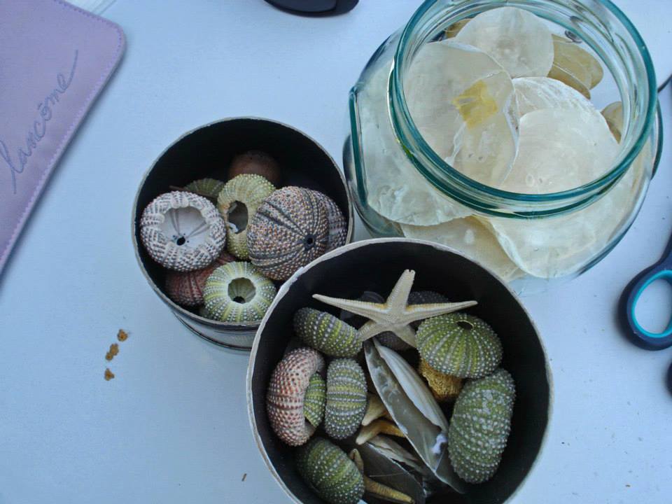 Den Design Jewels